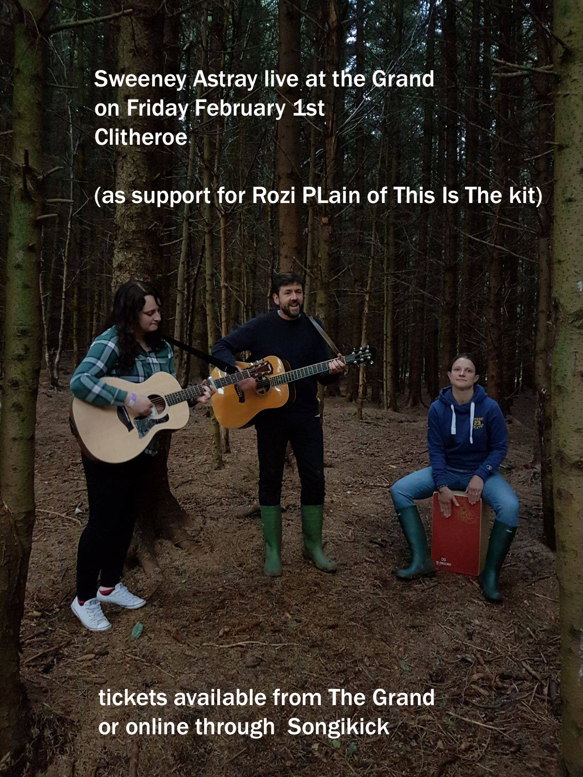 rozi plain gig poster